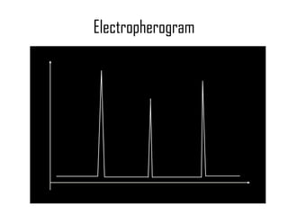 Electropherogram Detector Output Migration Time Cation (+) Neutral Anion (-) 