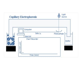 Anode + Cathode - 