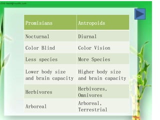 Promisians Antropoids
Nocturnal Diurnal
Color Blind Color Vision
Less species More Species
Lower body size
and brain capacity
Higher body size
and brain capacity
Herbivores
Herbivores,
Omnivores
Arboreal
Arboreal,
Terrestrial
 