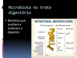 Microbiota no trato
  digestório
 Bactérias que
  auxiliam e
  aceleram a
  digestão
 