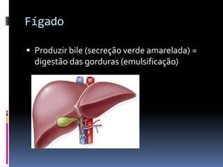 Fígado

 Produzir bile (secreção verde amarelada) =
  digestão das gorduras (emulsificação)
 