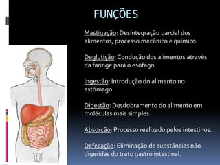 FUNÇÕES
Mastigação: Desintegração parcial dos
alimentos, processo mecânico e químico.

Deglutição: Condução dos alimentos através
da faringe para o esôfago.

Ingestão: Introdução do alimento no
estômago.

Digestão: Desdobramento do alimento em
moléculas mais simples.

Absorção: Processo realizado pelos intestinos.

Defecação: Eliminação de substâncias não
digeridas do trato gastro intestinal.
 
