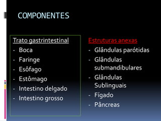 COMPONENTES

Trato gastrintestinal   Estruturas anexas
- Boca                  - Glândulas parótidas
- Faringe               - Glândulas
- Esôfago                 submandibulares
- Estômago              - Glândulas
- Intestino delgado       Sublinguais
- Intestino grosso      - Fígado
                        - Pâncreas
 