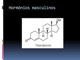 Hormônios masculinos
 
