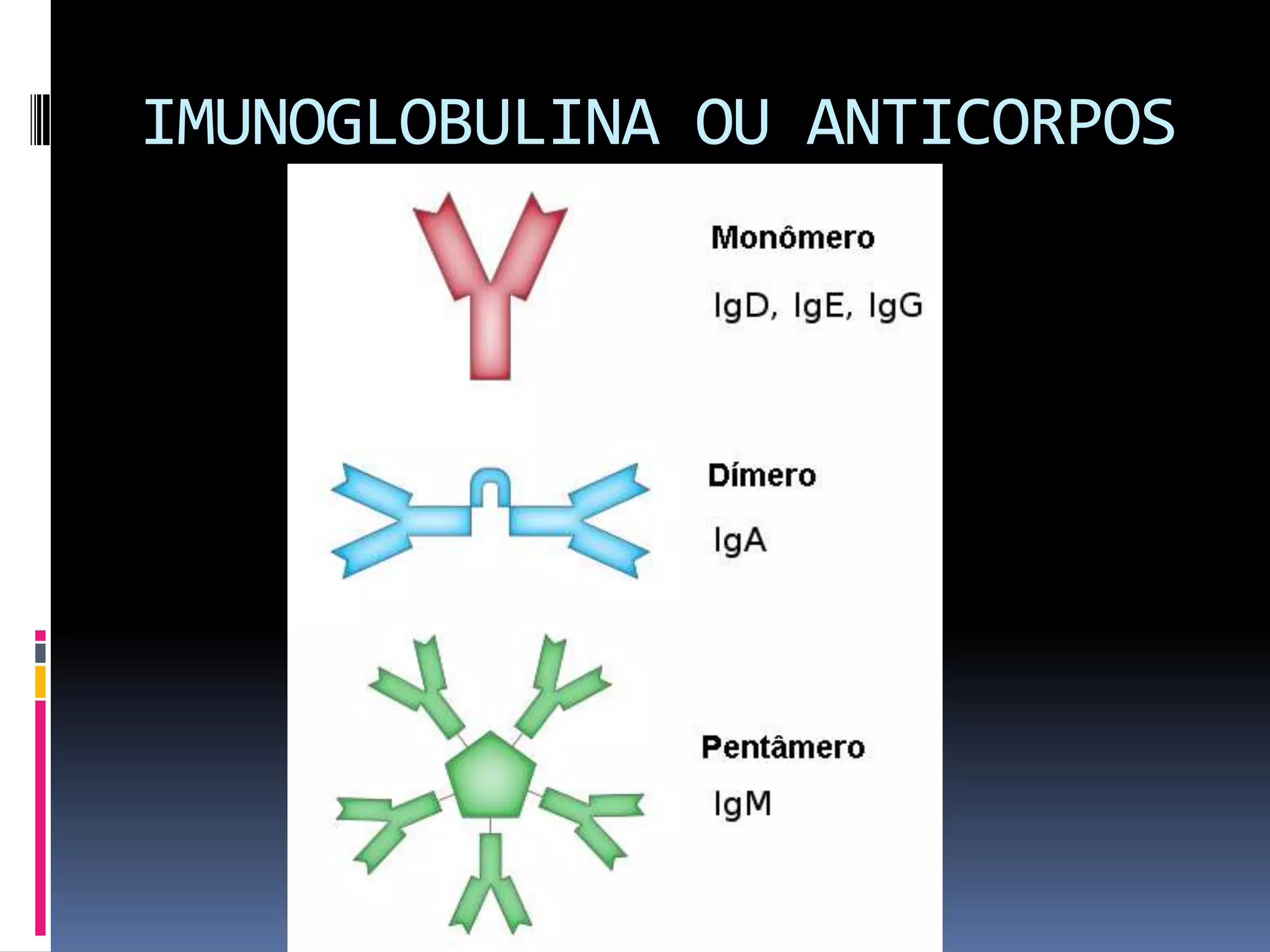IMUNOGLOBULINA OU ANTICORPOS