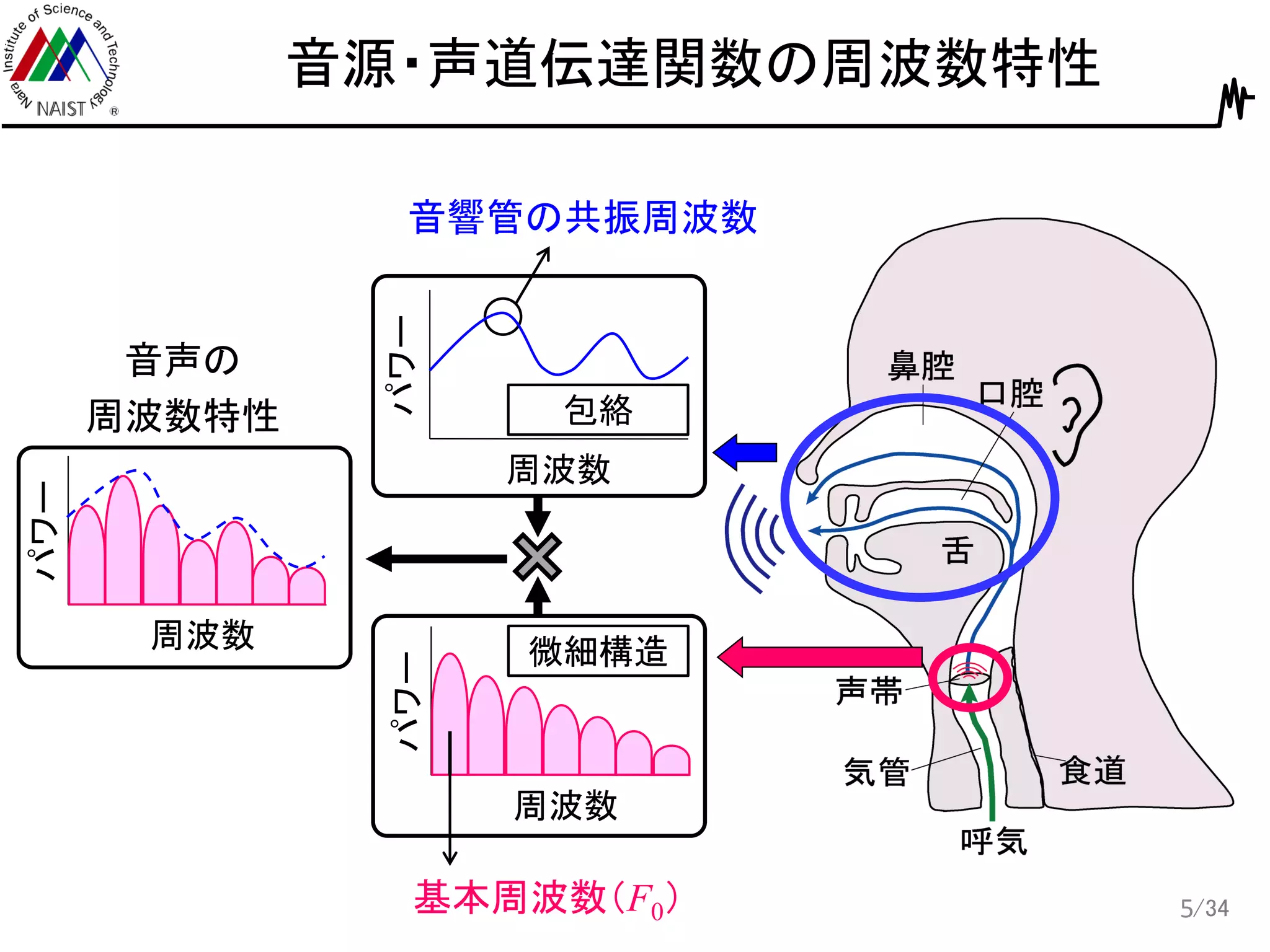 /34
音源・声道伝達関数の周波数特性
5
周波数
パワー
周波数
パワー
基本周波数（F0）
音響管の共振周波数
周波数
パワー
音声の
周波数特性
微細構造
包絡
 