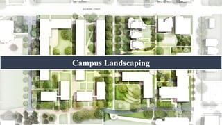 Campus Landscaping
 