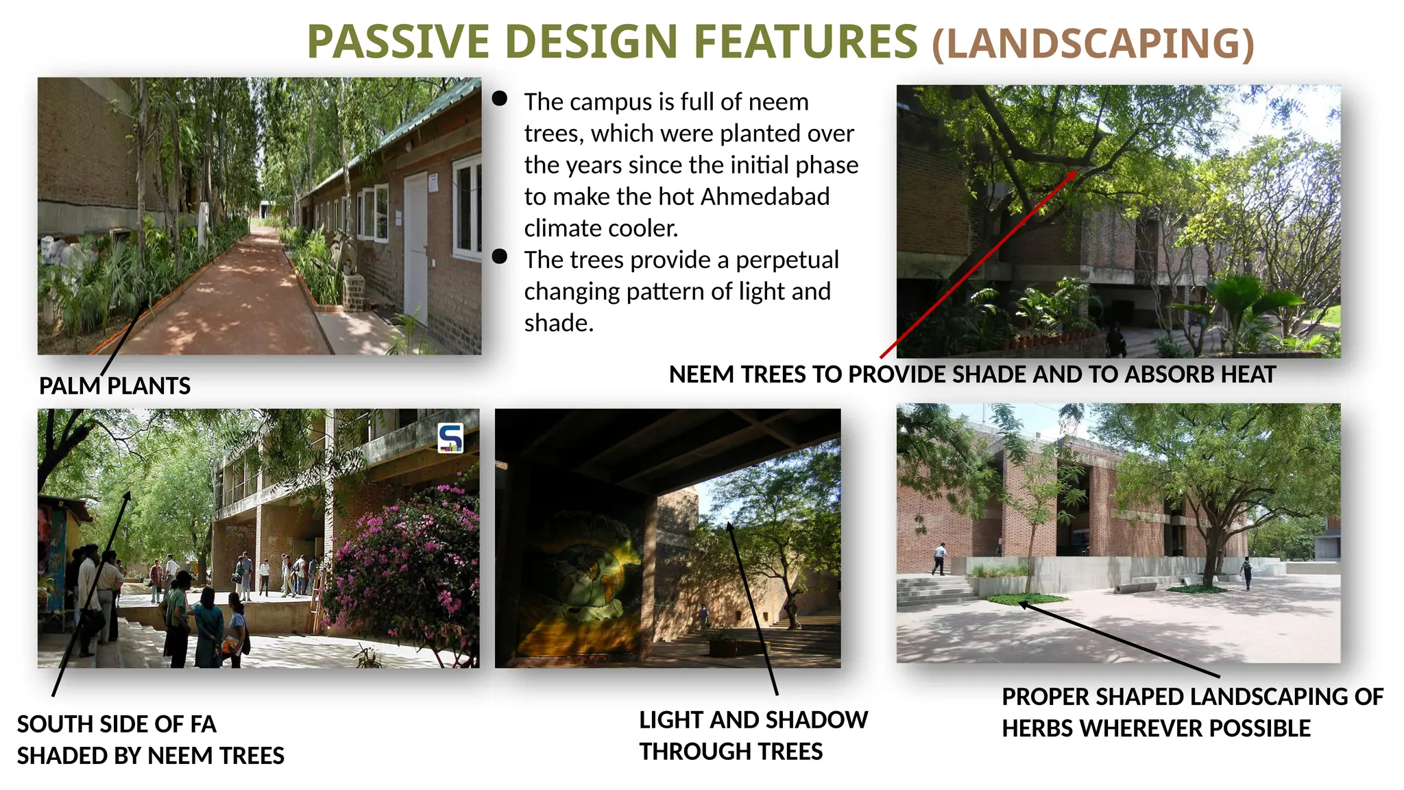 PASSIVE DESIGN FEATURES (LANDSCAPING)
● The campus is full of neem
trees, which were planted over
the years since the initial phase
to make the hot Ahmedabad
climate cooler.
● The trees provide a perpetual
changing pattern of light and
shade.
PALM PLANTS NEEM TREES TO PROVIDE SHADE AND TO ABSORB HEAT
SOUTH SIDE OF FA
SHADED BY NEEM TREES
PROPER SHAPED LANDSCAPING OF
HERBS WHEREVER POSSIBLE
LIGHT AND SHADOW
THROUGH TREES
 