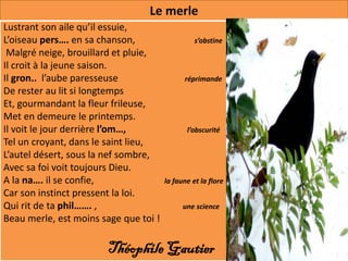 Le merle
Lustrant son aile qu’il essuie,
L’oiseau pers…. en sa chanson,                   s’obstine
 Malgré neige, brouillard et pluie,
Il croit à la jeune saison.
Il gron.. l’aube paresseuse                  réprimande
De rester au lit si longtemps
Et, gourmandant la fleur frileuse,
Met en demeure le printemps.
Il voit le jour derrière l’om…,               l’obscurité
Tel un croyant, dans le saint lieu,
L’autel désert, sous la nef sombre,
Avec sa foi voit toujours Dieu.
A la na…. il se confie,                la faune et la flore
Car son instinct pressent la loi.
Qui rit de ta phil……. ,                      une science
Beau merle, est moins sage que toi !

                       Théophile Gautier
 