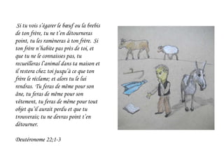Si tu vois s’égarer le bœuf ou la brebis
de ton frère, tu ne t’en détourneras
point, tu les ramèneras à ton frère. Si
ton frère n’habite pas près de toi, et
que tu ne le connaisses pas, tu
recueilleras l’animal dans ta maison et
il restera chez toi jusqu’à ce que ton
frère le réclame; et alors tu le lui
rendras. Tu feras de même pour son
âne, tu feras de même pour son
vêtement, tu feras de même pour tout
objet qu’il aurait perdu et que tu
trouverais; tu ne devras point t’en
détourner.
Deutéronome 22;1-3
 