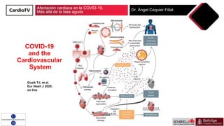 Afectación cardiaca en la COVID-19. Más allá de la fase aguda