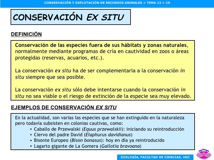 CERA_13_Estrategias_conservacion
