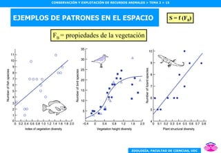 EJEMPLOS DE PATRONES EN EL ESPACIO F B  = propiedades de la vegetación S = f (F B ) 