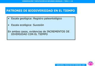 PATRONES DE BIODIVERSIDAD EN EL TIEMPO Escala geológica: Registro paleontológico Escala ecológica: Sucesión En ambos casos, evidencias de INCREMENTOS DE DIVERSIDAD CON EL TIEMPO 