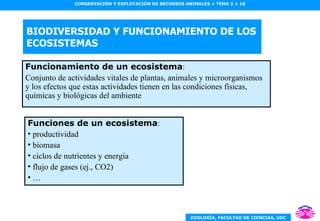 BIODIVERSIDAD Y FUNCIONAMIENTO DE LOS ECOSISTEMAS Funcionamiento de un ecosistema : Conjunto de actividades vitales de plantas, animales y microorganismos y los efectos que estas actividades tienen en las condiciones físicas, químicas y biológicas del ambiente Funciones de un ecosistema : productividad biomasa ciclos de nutrientes y energía flujo de gases (ej., CO2) … 