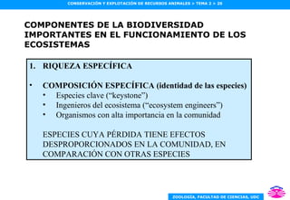 COMPONENTES DE LA BIODIVERSIDAD IMPORTANTES EN EL FUNCIONAMIENTO DE LOS ECOSISTEMAS RIQUEZA ESPECÍFICA COMPOSICIÓN ESPECÍFICA (identidad de las especies)   Especies clave (“keystone”) Ingenieros del ecosistema (“ecosystem engineers”) Organismos con alta importancia en la comunidad ESPECIES CUYA PÉRDIDA TIENE EFECTOS DESPROPORCIONADOS EN LA COMUNIDAD, EN COMPARACIÓN CON OTRAS ESPECIES 