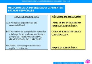 MEDICIÓN DE LA DIVERSIDAD A DIFERENTES ESCALAS ESPACIALES TIPOS DE DIVERSIDAD ALFA: riqueza específica de una comunidad local BETA: cambio de composición específica a lo largo de un gradiente ambiental o geográfico. HETEROGENEIDAD (DIVERSIDAD) DE HÁBITATS GAMMA: riqueza específica de una región o continente MÉTODOS DE MEDICIÓN INDICES DE DIVERSIDAD RIQUEZA ESPECÍFICA CURVAS ESPECIES-ÁREA GAMMA/ALFA RIQUEZA ESPECÍFICA 