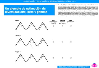 Un ejemplo de estimación de diversidad alfa, beta y gamma 