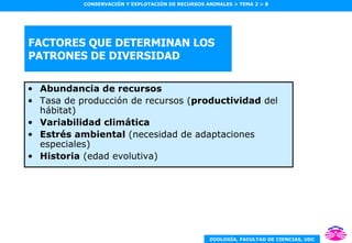 FACTORES QUE DETERMINAN LOS PATRONES DE DIVERSIDAD Abundancia de recursos Tasa de producción de recursos ( productividad  del hábitat) Variabilidad climática Estrés ambiental  (necesidad de adaptaciones especiales) Historia  (edad evolutiva) 