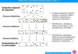 Conjunto regional de especies Factores abióticos Factores bióticos Factores históricos Composición de la comunidad Conjunto regional de especies: tectónica, evolución, cambio climático, catástrofes (ej., impactos de asteroides), … Distribución y  abundancia dentro de una región: T ª , pH, precipitaciones, fertilidad, … Distribución y abundancia dentro de una comunidad local: Estructura de la comunidad (predación, competencia, …) 