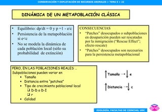 DINÁMICA DE UN METAPOBLACIÓN CLÁSICA <ul><li>Equilibrio: dp/dt = 0 y p =1 - e/c </li></ul><ul><li>Persistencia de la metap...