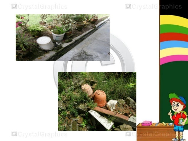 Ceramah denggi sekolah sek.7