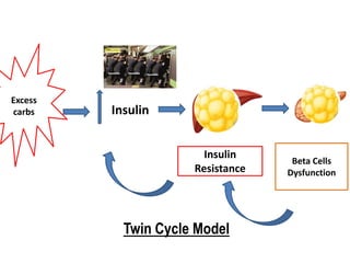 Excess
carbs Insulin
Insulin
Resistance
Beta Cells
Dysfunction
Twin Cycle Model
 
