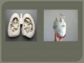 Ceramic.metamorphosis