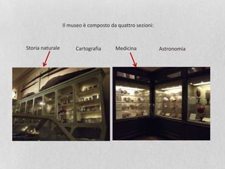 Il museo è composto da quattro sezioni:
Storia naturale Cartografia Medicina Astronomia
 