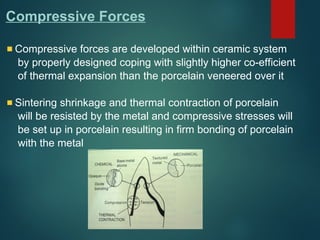 Compressive Forces
Compressive forces are developed within ceramic system
by properly designed coping with slightly higher co-efficient
of thermal expansion than the porcelain veneered over it
Sintering shrinkage and thermal contraction of porcelain
will be resisted by the metal and compressive stresses will
be set up in porcelain resulting in firm bonding of porcelain
with the metal
 