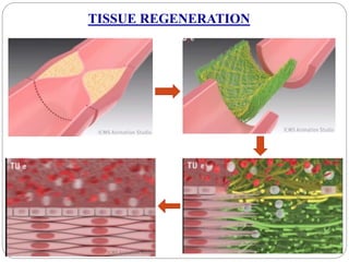 biodegradable ceramics polymer matrix composite for bio medical ...