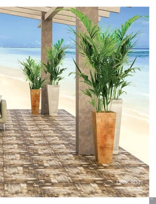 153
DARK REEFI
40X40
 