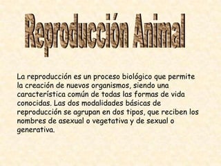 La reproducción es un proceso biológico que permite
la creación de nuevos organismos, siendo una
característica común de todas las formas de vida
conocidas. Las dos modalidades básicas de
reproducción se agrupan en dos tipos, que reciben los
nombres de asexual o vegetativa y de sexual o
generativa.
 