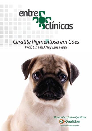 www.qualittas.com.br
Material exclusivo Qualittas
Ceratite Pigmentosa em Cães
Prof. Dr. PhD Ney Luis Pippi
 
