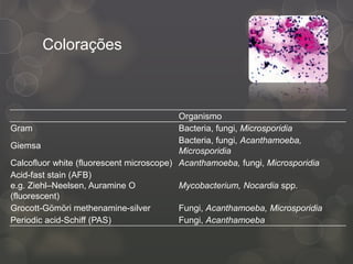 Colorações
Organismo
Gram Bacteria, fungi, Microsporidia
Giemsa
Bacteria, fungi, Acanthamoeba,
Microsporidia
Calcofluor white (fluorescent microscope) Acanthamoeba, fungi, Microsporidia
Acid-fast stain (AFB)
e.g. Ziehl–Neelsen, Auramine O
(fluorescent)
Mycobacterium, Nocardia spp.
Grocott-Gömöri methenamine-silver Fungi, Acanthamoeba, Microsporidia
Periodic acid-Schiff (PAS) Fungi, Acanthamoeba
 