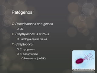 Patógenos
 Pseudomonas aeruginosa
 LC
 Staphylococcus aureus
 Patologia ocular prévia
 Streptococci
 S. pyogenes
 S. pneumoniae
Pós-trauma (LASIK)
 