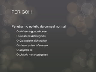 PERIGO!!!
Penetram o epitélio da córneal normal
 Neisseria gonorrhoeae
 Neisseria meningitidis
 Clostridium diphtheriae
 Haemophilus influenzae
 Shigella sp
 Listeria monocytogenes
 