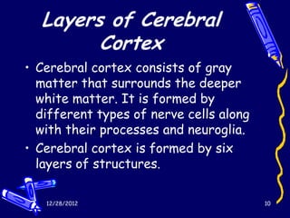 Layers of Cerebral
        Cortex
• Cerebral cortex consists of gray
  matter that surrounds the deeper
  white matter. It is formed by
  different types of nerve cells along
  with their processes and neuroglia.
• Cerebral cortex is formed by six
  layers of structures.

   12/28/2012                            10
 