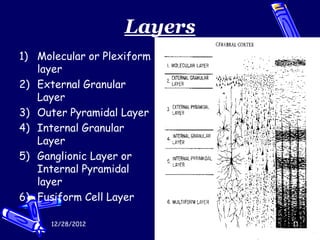 Layers
1) Molecular or Plexiform
   layer
2) External Granular
   Layer
3) Outer Pyramidal Layer
4) Internal Granular
   Layer
5) Ganglionic Layer or
   Internal Pyramidal
   layer
6) Fusiform Cell Layer

      12/28/2012             11
 