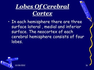 Lobes Of Cerebral
        Cortex
• In each hemisphere there are three
  surface lateral , medial and inferior
  surface. The neocortex of each
  cerebral hemisphere consists of four
  lobes.




   12/28/2012                             16
 