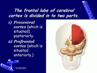 The frontal lobe of cerebral
cortex is divided in to two parts.
1) Precentral
   cortex (which is
   situated)
   posteriorly.
2) Prefrontal
   cortex (which is
   situated
   anteriorly.)


    12/28/2012                       19
 