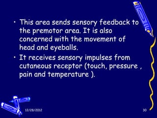 • This area sends sensory feedback to
  the premotor area. It is also
  concerned with the movement of
  head and eyeballs.
• It receives sensory impulses from
  cutaneous receptor (touch, pressure ,
  pain and temperature ).



   12/28/2012                             30
 