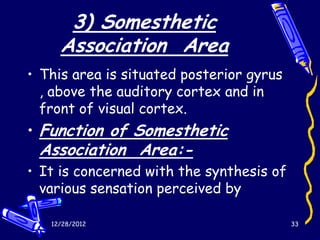 3) Somesthetic
     Association Area
• This area is situated posterior gyrus
  , above the auditory cortex and in
  front of visual cortex.
• Function of Somesthetic
 Association Area:-
• It is concerned with the synthesis of
  various sensation perceived by

   12/28/2012                             33
 