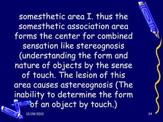 somesthetic area I. thus the
  somesthetic association area
forms the center for combined
   sensation like stereognosis
  (understanding the form and
nature of objects by the sense
   of touch. The lesion of this
area causes astereognosis (The
inability to determine the form
     of an object by touch.)
   12/28/2012                     34
 