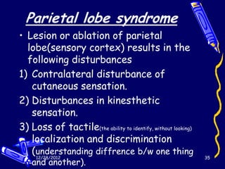 Parietal lobe syndrome
• Lesion or ablation of parietal
  lobe(sensory cortex) results in the
  following disturbances
1) Contralateral disturbance of
   cutaneous sensation.
2) Disturbances in kinesthetic
   sensation.
3) Loss of tactile(the ability to identify, without looking)
   localization and discrimination
   (understanding diffrence b/w one thing
     12/28/2012                                                35
    and another).
 