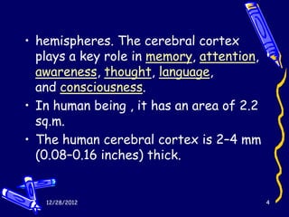 • hemispheres. The cerebral cortex
  plays a key role in memory, attention,
  awareness, thought, language,
  and consciousness.
• In human being , it has an area of 2.2
  sq.m.
• The human cerebral cortex is 2–4 mm
  (0.08–0.16 inches) thick.


   12/28/2012                              4
 