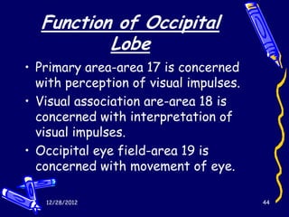 Function of Occipital
          Lobe
• Primary area-area 17 is concerned
  with perception of visual impulses.
• Visual association are-area 18 is
  concerned with interpretation of
  visual impulses.
• Occipital eye field-area 19 is
  concerned with movement of eye.

   12/28/2012                           44
 