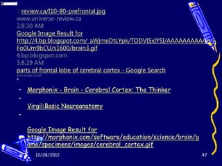 1.review.ca/I10-80-prefrontal.jpg
www.universe-review.ca
2.8:30 AM
Google Image Result for
http://4.bp.blogspot.com/_aWjmeDtLYpk/TODVISxIYSI/AAAAAAAAAAg/i-
Fo0Um9bCU/s1600/brain3.gif
4.bp.blogspot.com
3.8:29 AM
parts of frontal lobe of cerebral cortex - Google Search
www.google.com.pk
4.


 • Morphonix - Brain - Cerebral Cortex: The Thinker
 •
   Virgil:Basic Neuroanatomy
 •

       Google Image Result for
       http://morphonix.com/software/education/science/brain/g
       ame/specimens/images/cerebral_cortex.gif

 •          12/28/2012                                           47
 