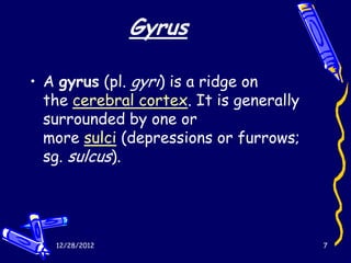 Gyrus

• A gyrus (pl. gyri) is a ridge on
  the cerebral cortex. It is generally
  surrounded by one or
  more sulci (depressions or furrows;
  sg. sulcus).




   12/28/2012                            7
 