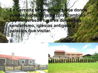 En Cerceda hay muchos sitios donde puedes hacer turismo rural, también hay numerosos lugares donde hay senderismo, iglesias antiguas y palacios que visitar. 
